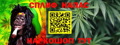 СК Краснодар