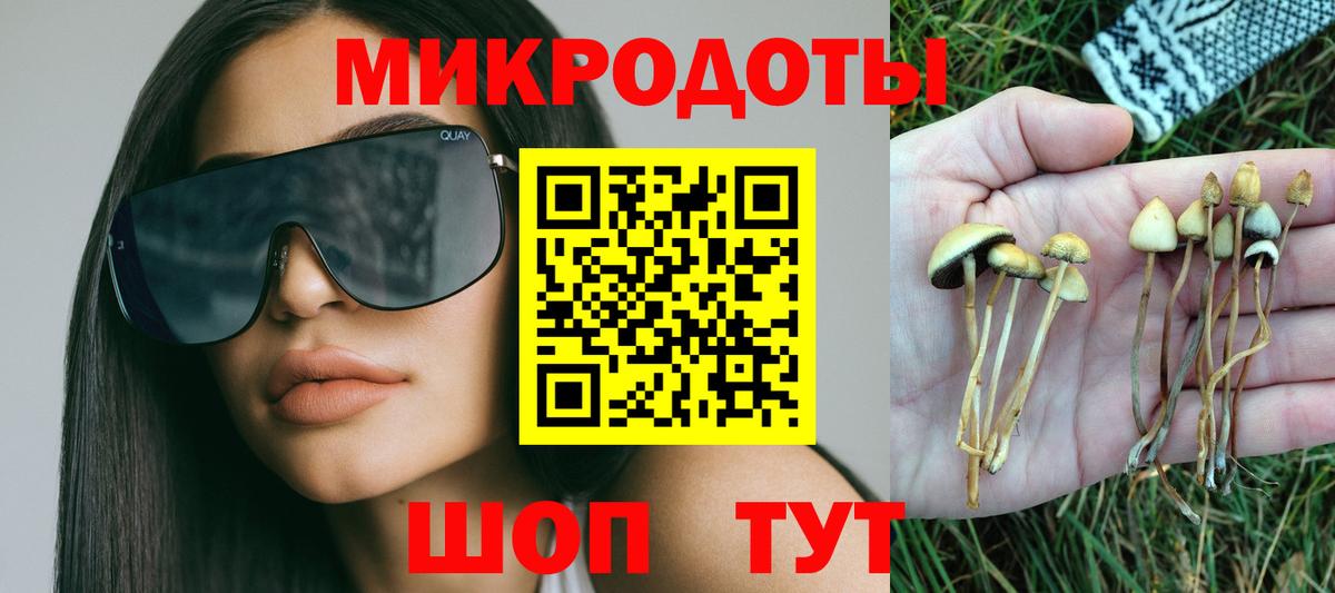 Псилоцибиновые грибы Psilocybine cubensis Серпухов